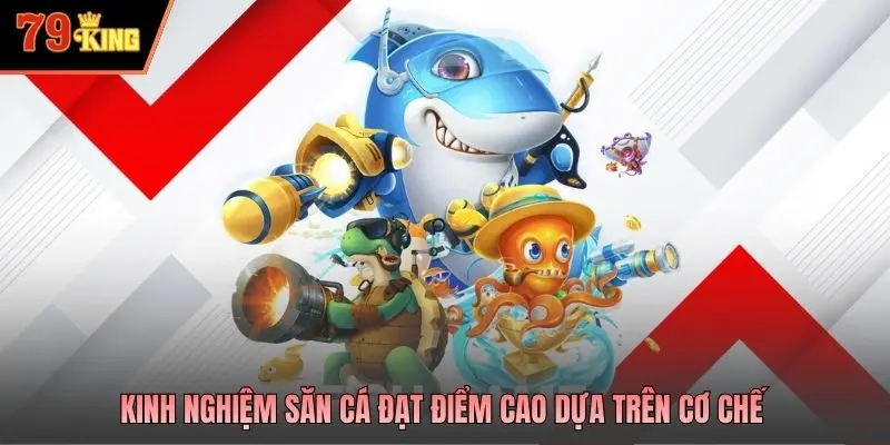 Kinh nghiệm săn cá đạt điểm cao dựa trên cơ chế 